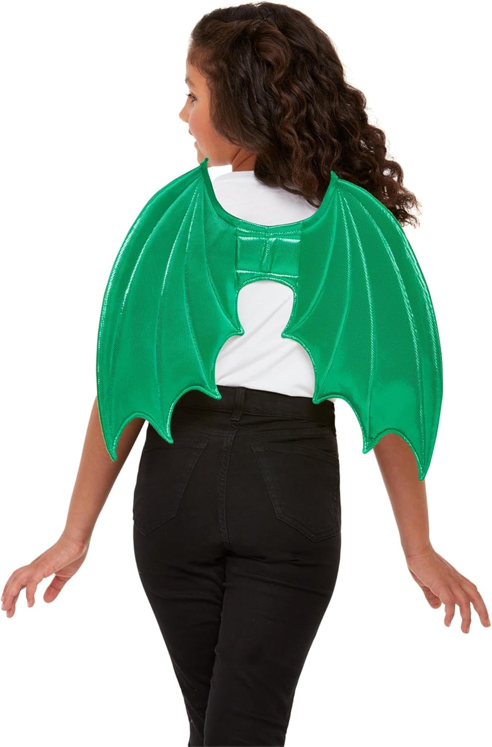 Dragon wings (craft or bought) for Zog the Dragon costume